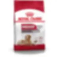Royal Canin Shn Medium Ageing 10+ 3 Kg Size Health Nutrition Dog Food